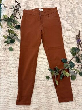 LOFT Rust Brown Skinny Ankle Pants size 2P like new